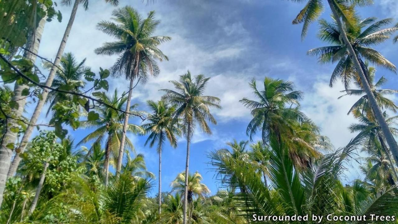Mansuar Raja Ampat Bungalows Kri Exterior foto